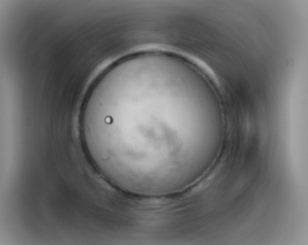 X0000114241279200910161625