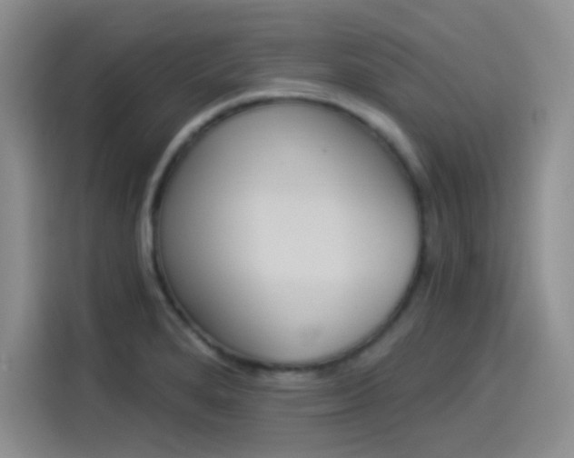 X0000114241280200910161625