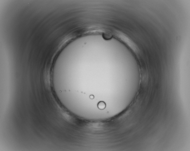 X0000114241282200910161625