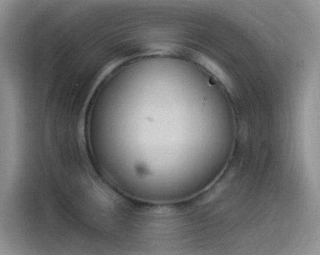X0000114241283200910161625