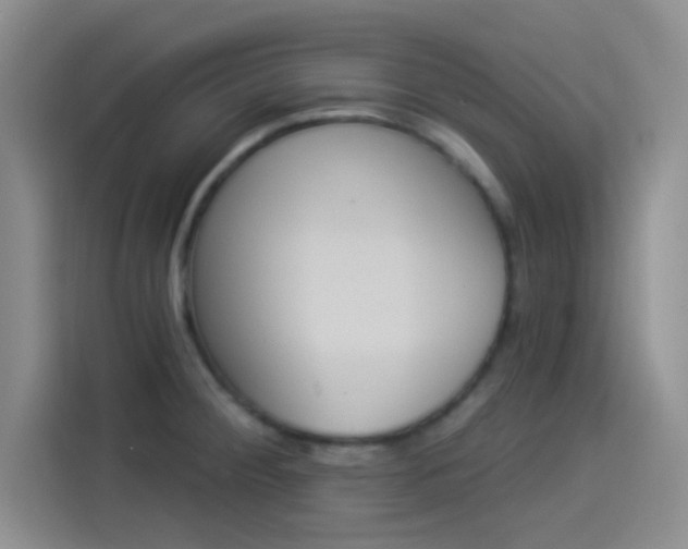 X0000114241284200910161625