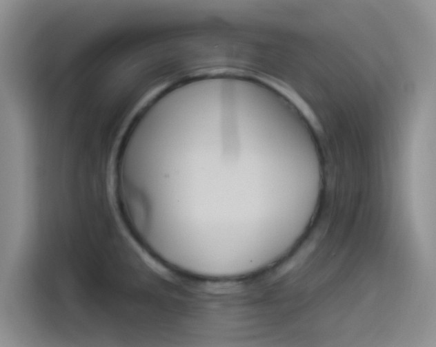 X0000114241285200910161625