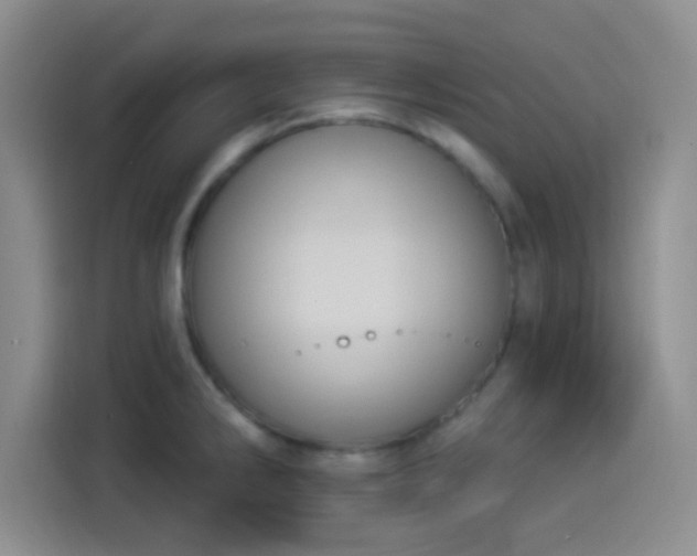 X0000114241286200910161625