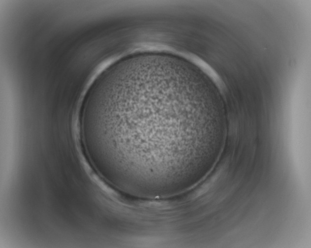 X0000114241287200910161625
