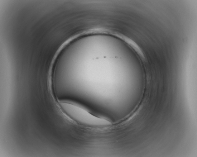 X0000114241288200910161625