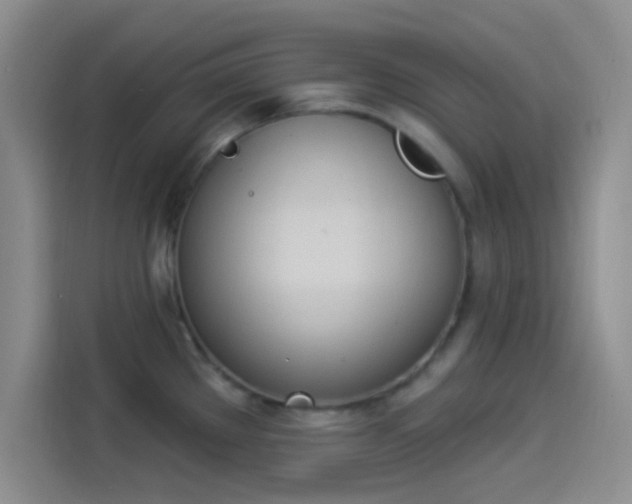 X0000114241289200910161625
