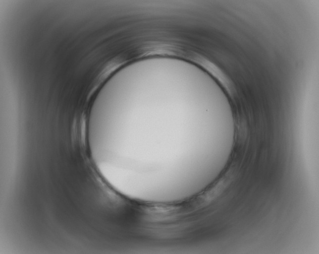 X0000114241290200910161625