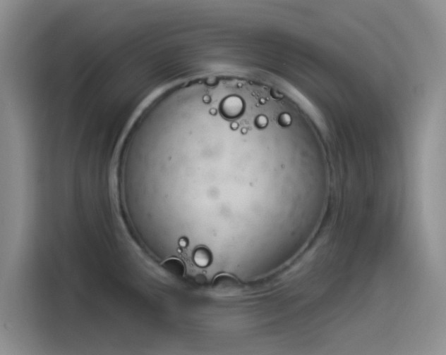 X0000114241291200910161625