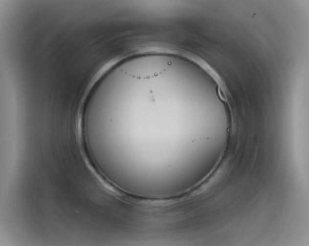 X0000114241293200910161625