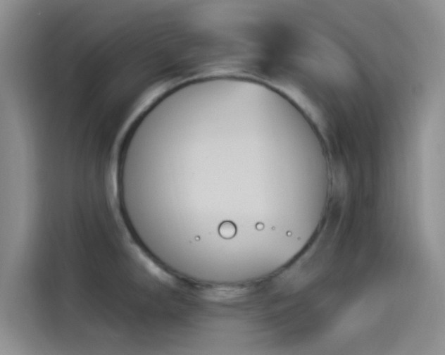 X0000114241294200910161625