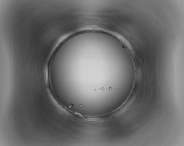 X0000114241295200910161625