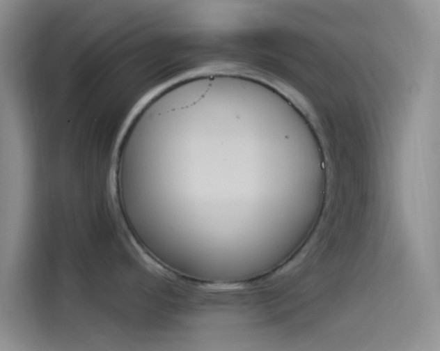 X0000114241296200910161625