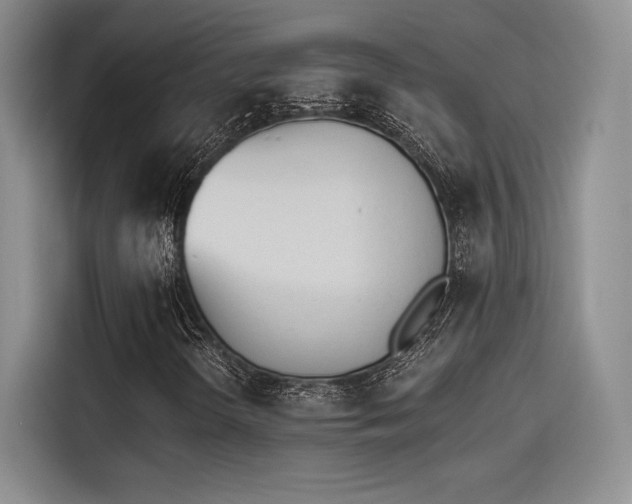X0000114241298200910161624