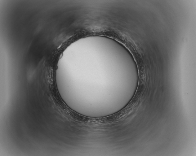 X0000114241301200910161624