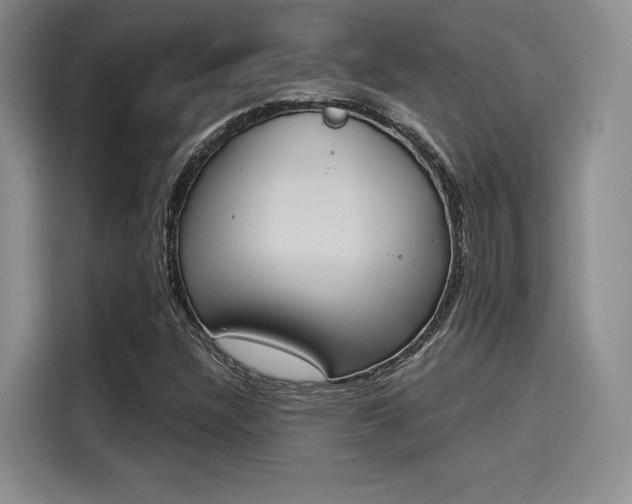 X0000114241304200910161624