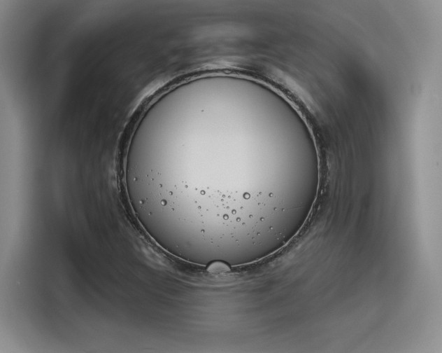 X0000114241308200910161624
