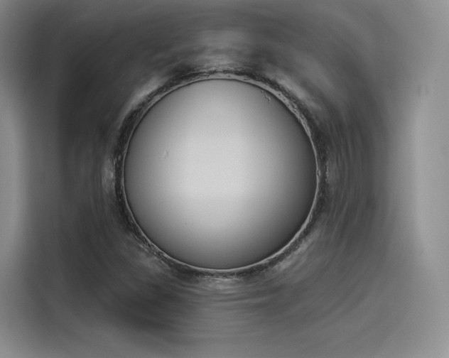 X0000114241309200910161624