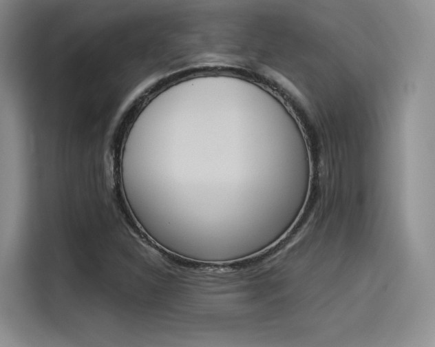 X0000114241310200910161624