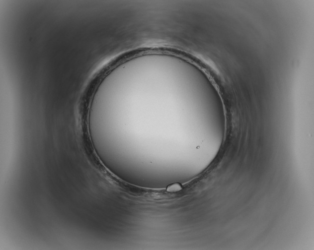 X0000114241311200910161624