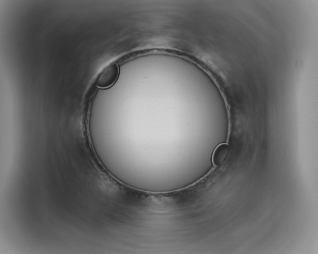 X0000114241312200910161624