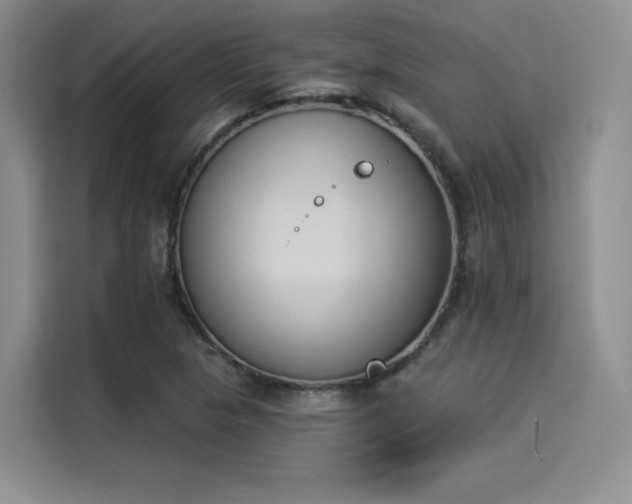 X0000114241313200910161624