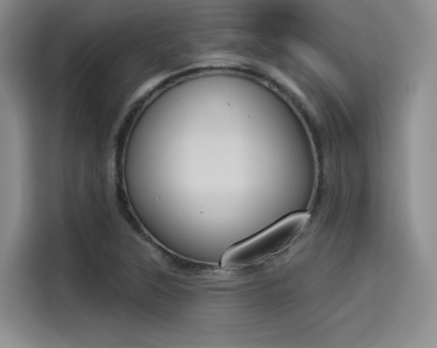 X0000114241315200910161624