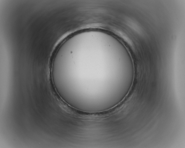 X0000114241316200910161624