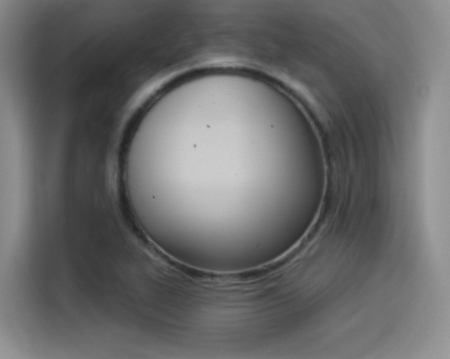 X0000114241319200910161624