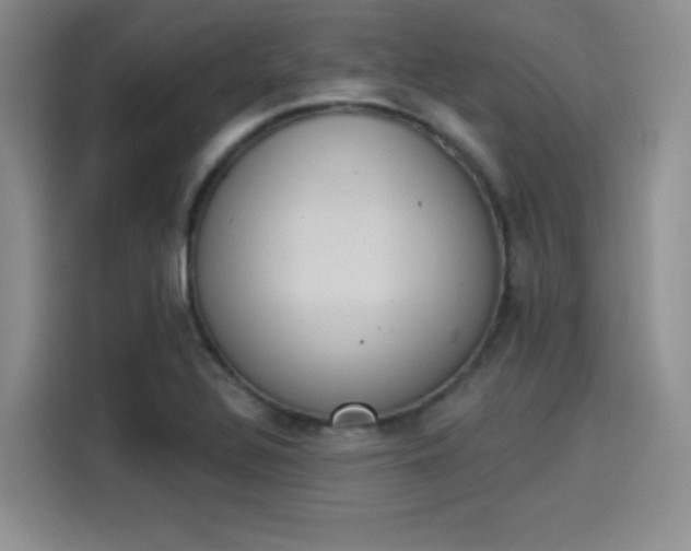 X0000114241320200910161624