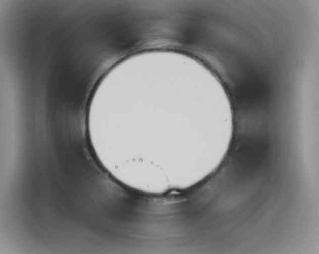 X0000114241322200910161624