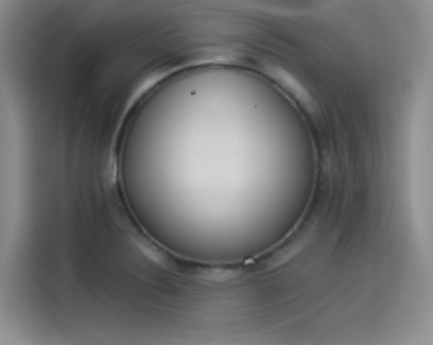 X0000114241324200910161624