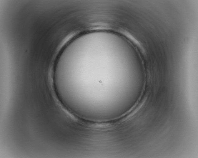X0000114241325200910161624