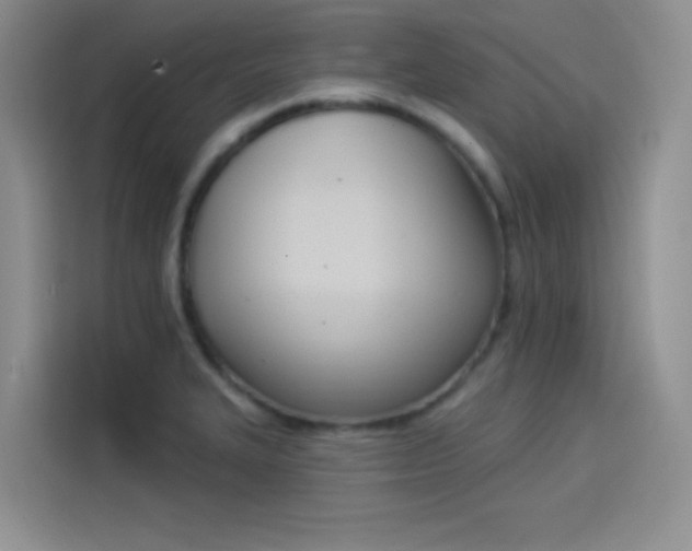 X0000114241327200910161624