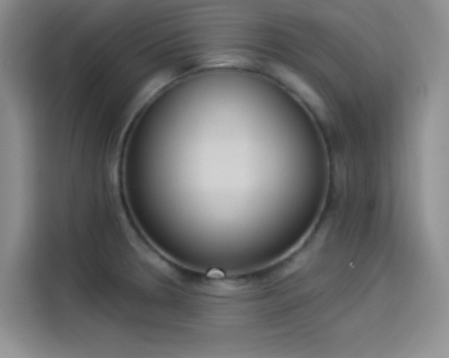 X0000114241330200910161625