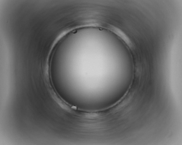 X0000114241332200910161625