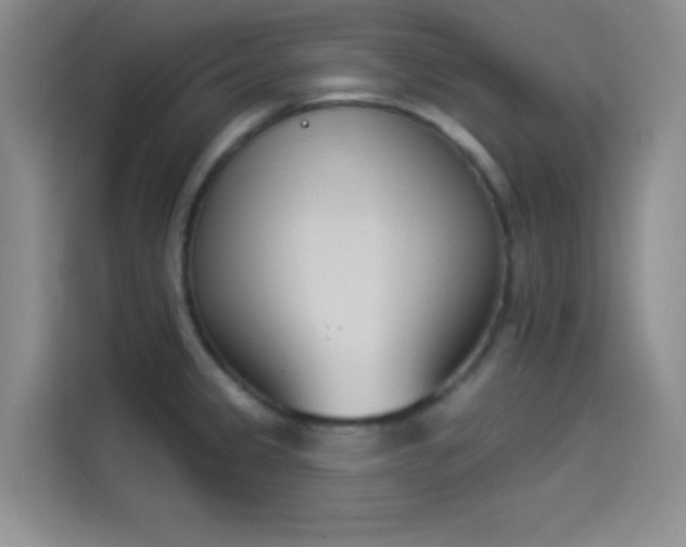 X0000114241333200910161625