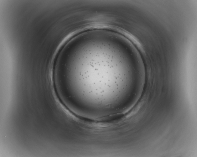 X0000114241334200910161625