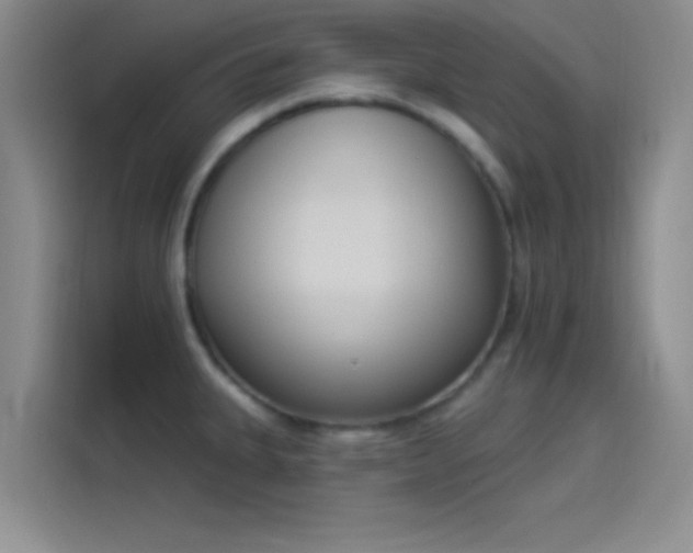 X0000114241335200910161625