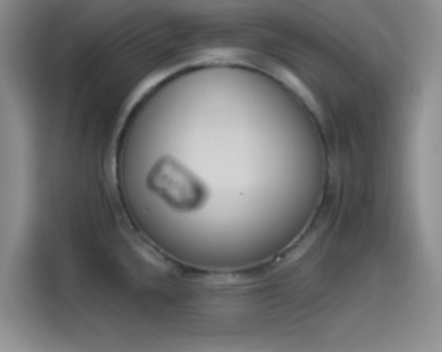 X0000114241336200910161625