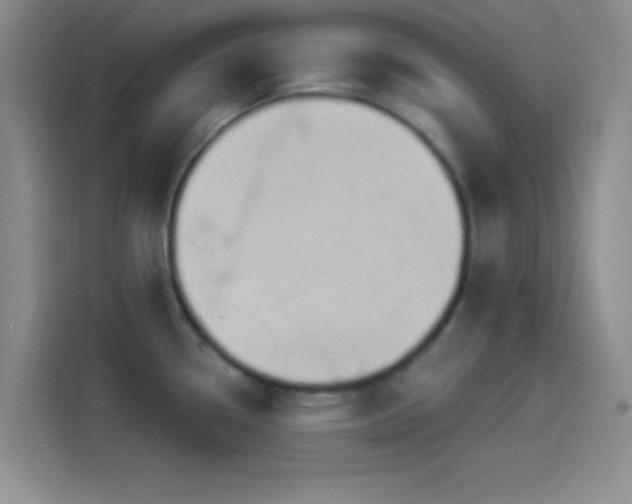 X0000114241338200910161625