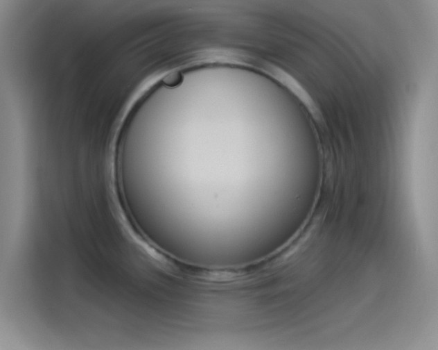 X0000114241339200910161625