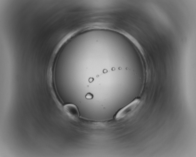 X0000114241341200910161625