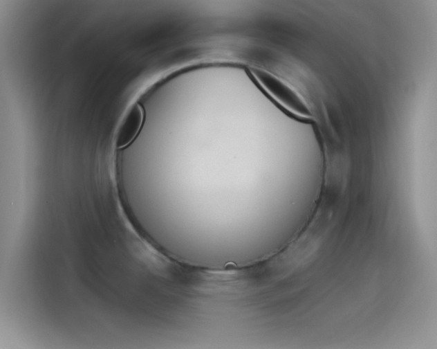 X0000114241342200910161625