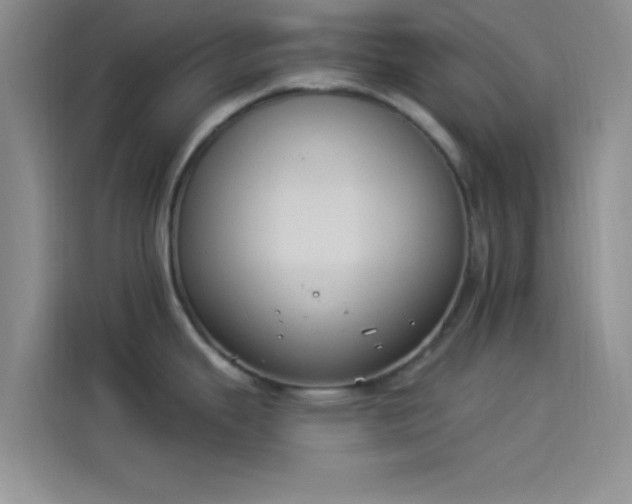 X0000114241343200910161625
