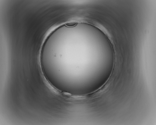 X0000114241344200910161625