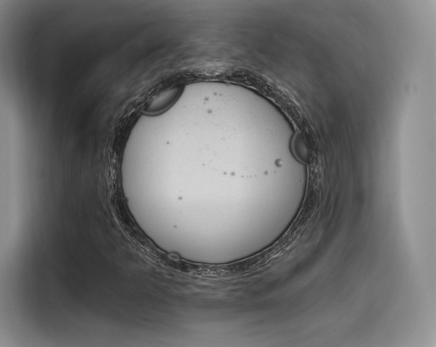 X0000114241349200910161624