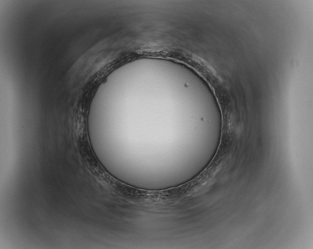 X0000114241350200910161624
