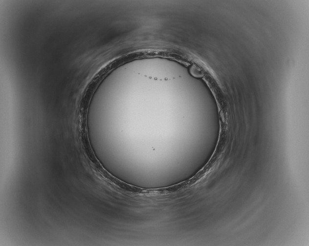 X0000114241352200910161624