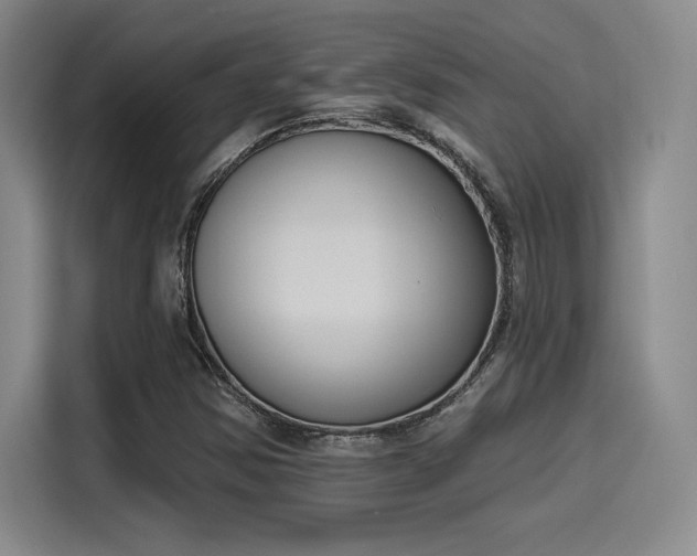 X0000114241354200910161624