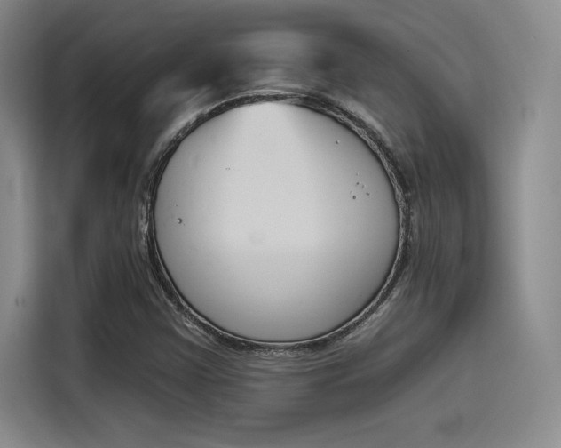 X0000114241355200910161624
